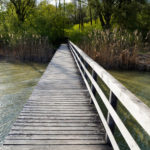 frühling am ammersee: ein Spaziergang entlang des Uferwegs