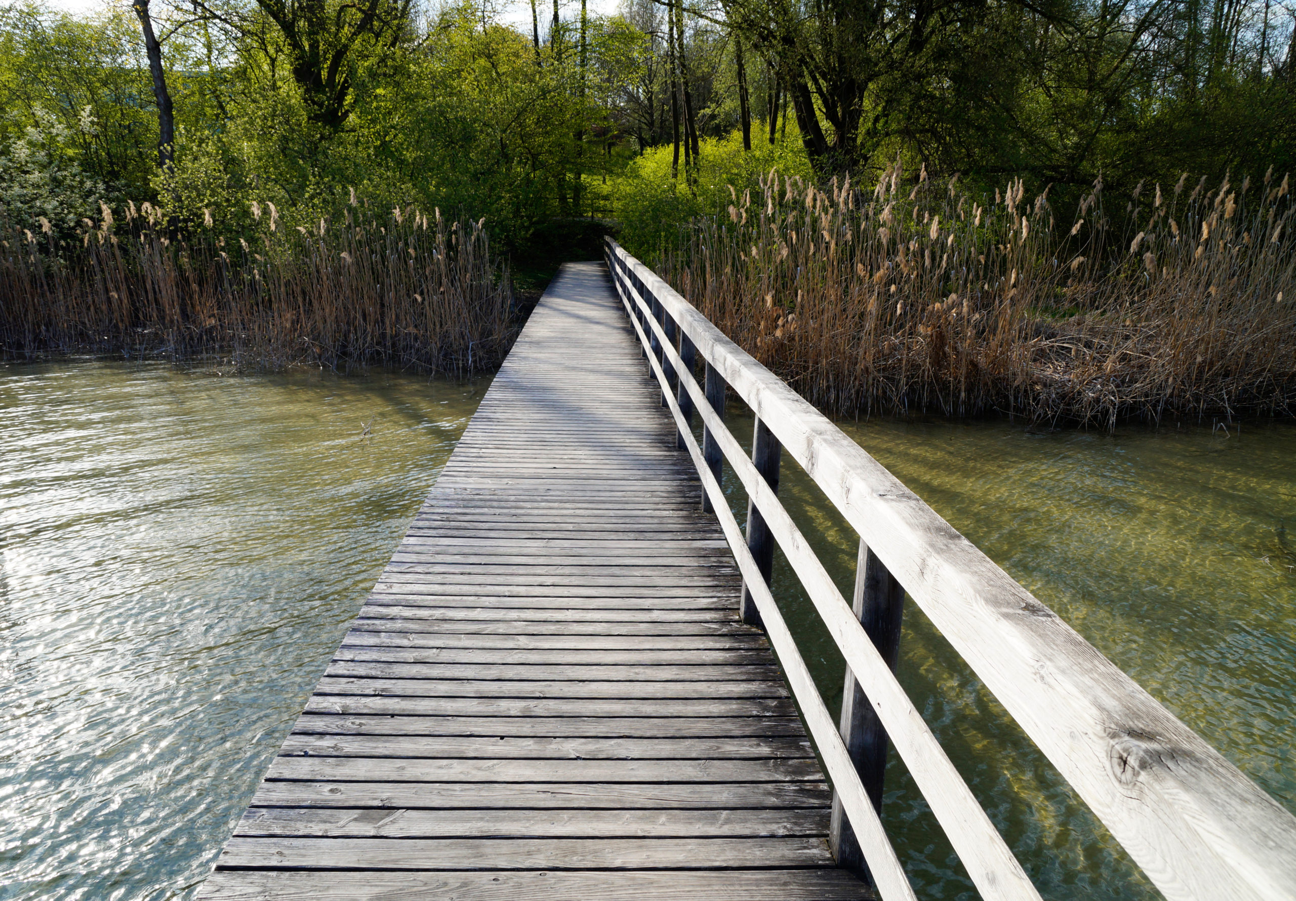 frühling am ammersee: ein Spaziergang entlang des Uferwegs