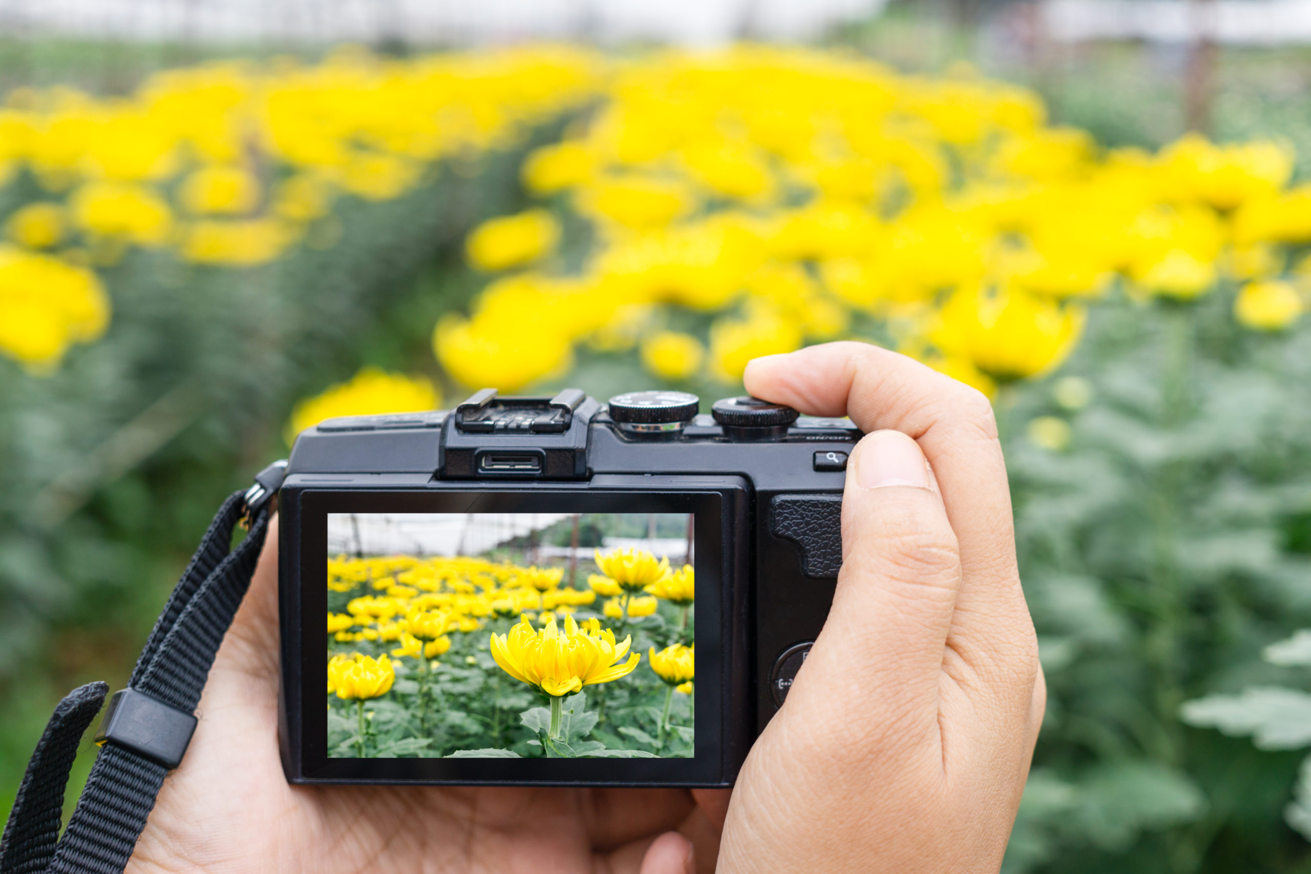 FOTOSPOTS AM AMMERSEE –Besondere Motive vor der Linse